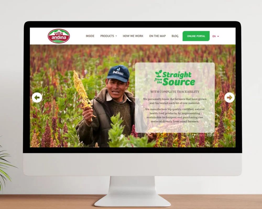 mockup-villandina.webp